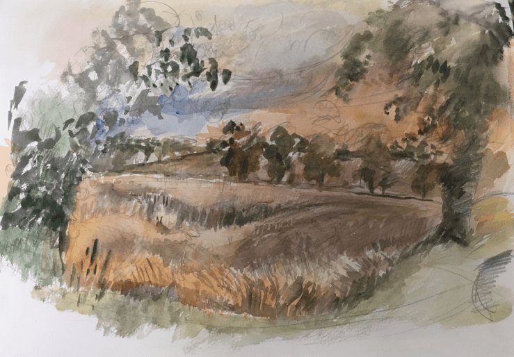 Cornfields at harvest