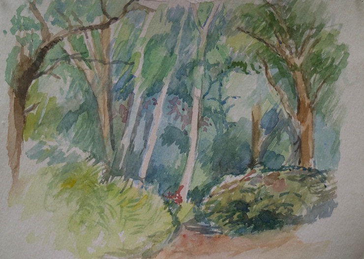 Isobella Plantations