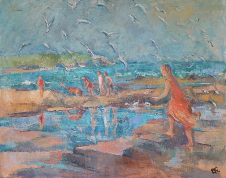 rock pools and seagulls-aus