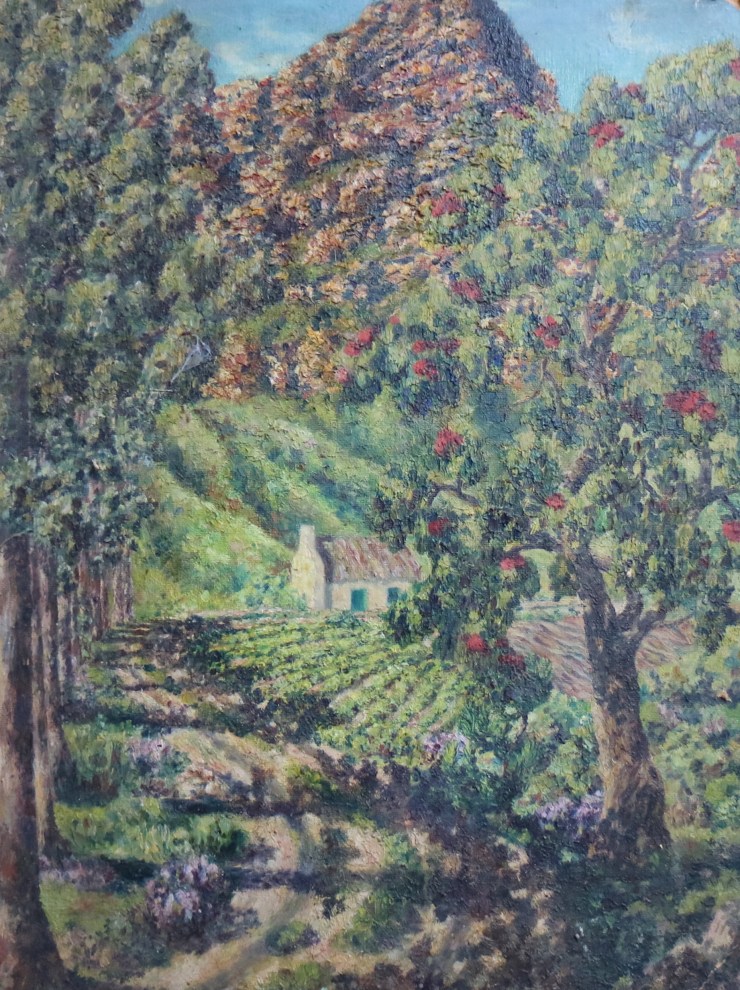 Vineyard Italy or SA early