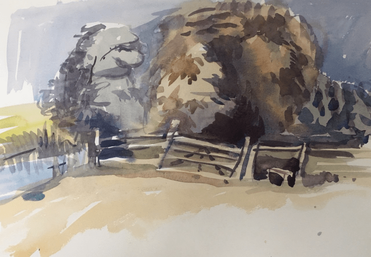 WCNegative fencingSOLD